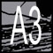 A3